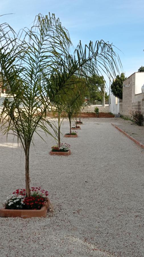 Villa Angela Chiara Porto Cesareo Eksteriør billede